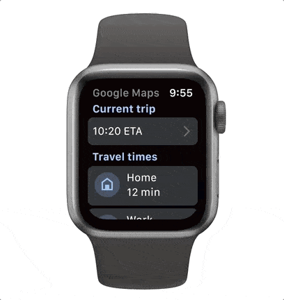apple watch google map